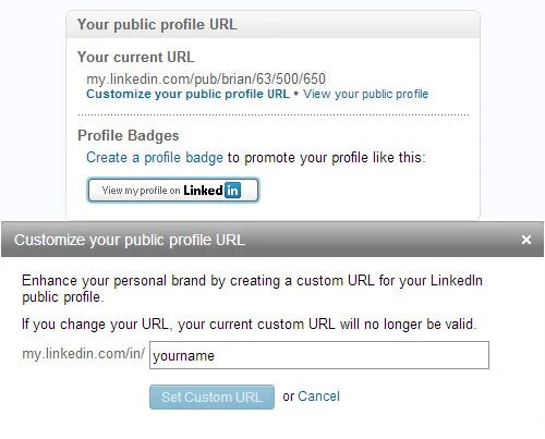 Profile url. Url профиля. url-адрес linkedin. linkedin profile url пример. profile url что это.