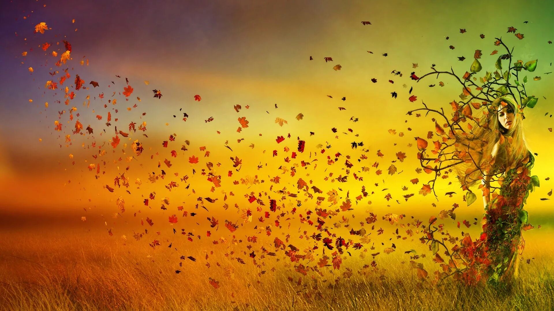 Осень в душе человека. Осень. Лист на ветру. Красивый осенний фон. Осенний листопад.