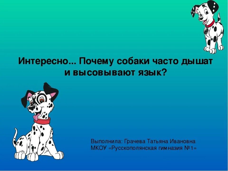 Почему собака дышит с открытым ртом дома. Почему собака часто дышит. собака высовывает язык и часто дышит. почему собаки высовывают язык. почему собака дышит с высунутым языком.
