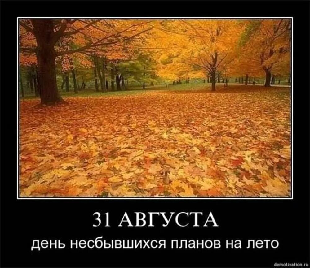 Картинка последний день лета смешная. Осенние приколы. последний день лета прикол. с последним днем осени. лето закончилось.