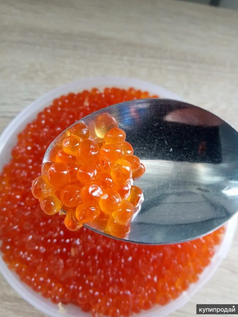 красная икра под микроскопом. как выглядит икра кеты настоящая. икра красная кета. красная икра кеты. как выглядит икра кеты настоящая.