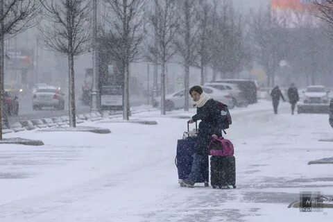 Первый снег по арбату