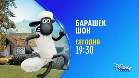 Канал барашек