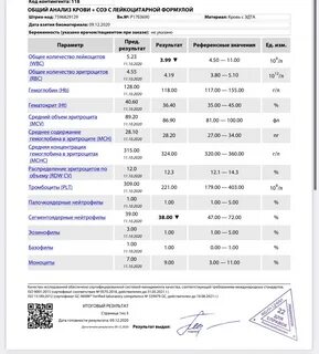 Здоровье петербуржца анализы