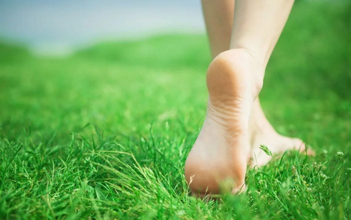 Пяточка носочек. Босыми ногами по траве. Красивые пятки. Босые ноги на траве. Босиком по росе.