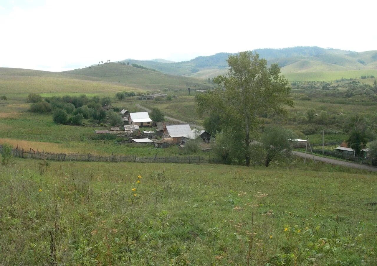 земельные участки село алтайское. село алтайское алтайский край озеро потрепанное. земельные участки село алтайское. дом село сараса. земельные участки село алтайское.
