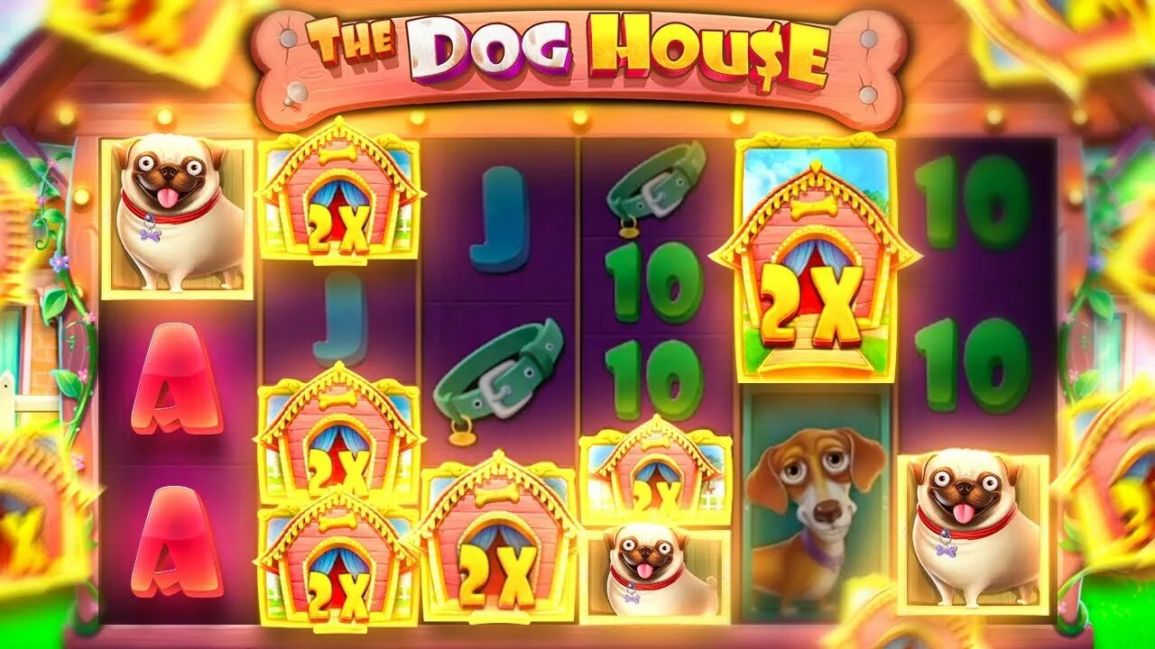Winri fun. Dog House megaways. Дог Хаус казино. Дог Хаус Мегавейс занос. Scatter Dog House.