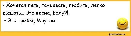 Песни которые хочется петь в машине. Анекдоты про весну. Анекдот про Маугли. Анекдоты про весну и любовь. Шутки анекдоты про весну.