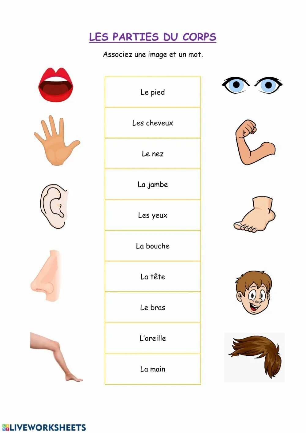 Француз задание. Французский части тела задания. Части тела французский упражнения. Части тела человека на французском. Части тела на французском для детей.