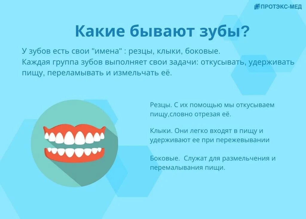 Почему чувствительность зуба. Интересные факты о стоматологии. Интересные факты о стоматологии и зубах с картинками. Чувствительность зубов на Холодное и горячее. Зуб болит от холодного.