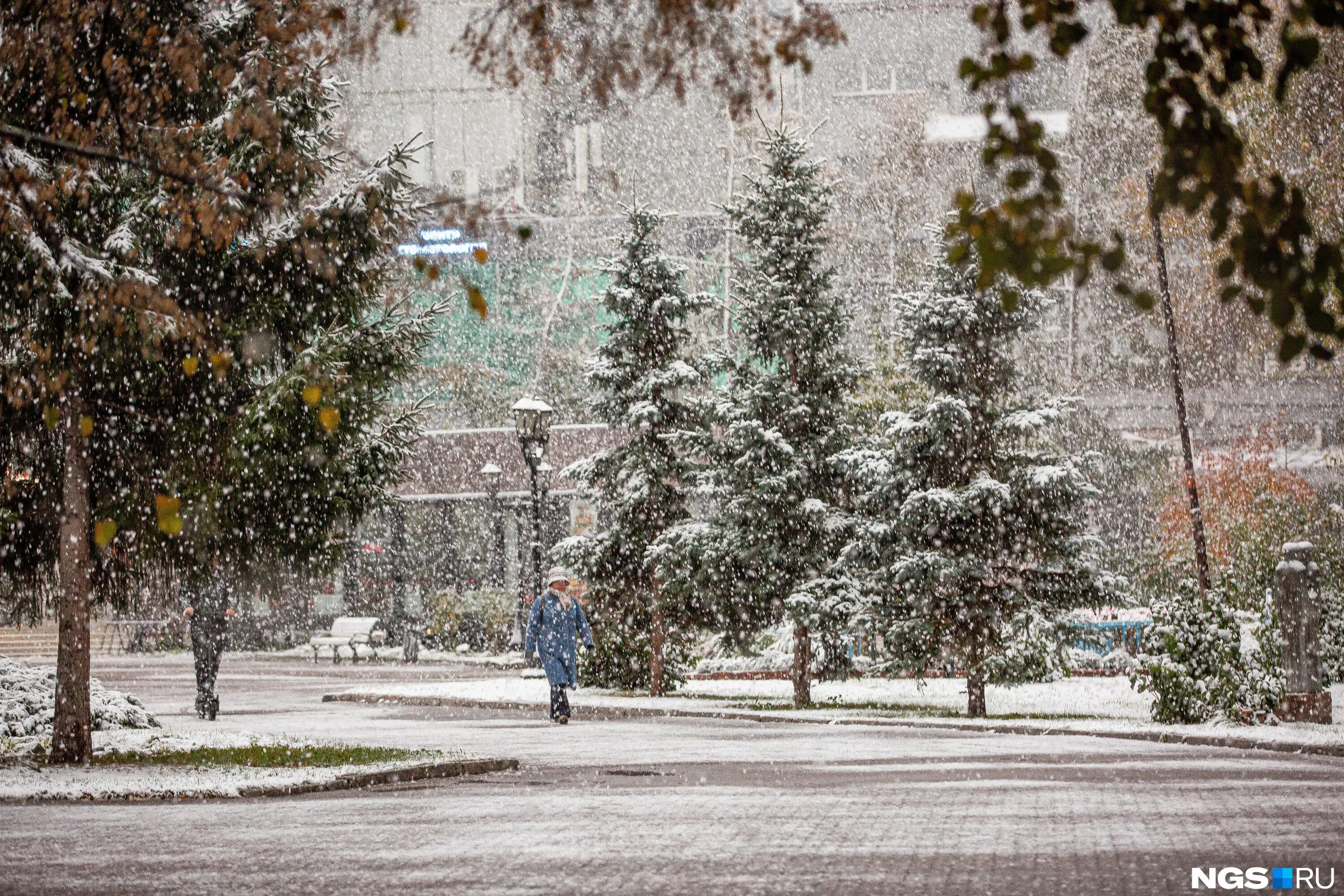 Снег в сентябре какая. Снег в Новосибирске 2022. Первый снег в Новосибирске. Первый снег в городе. Снегопад фото.
