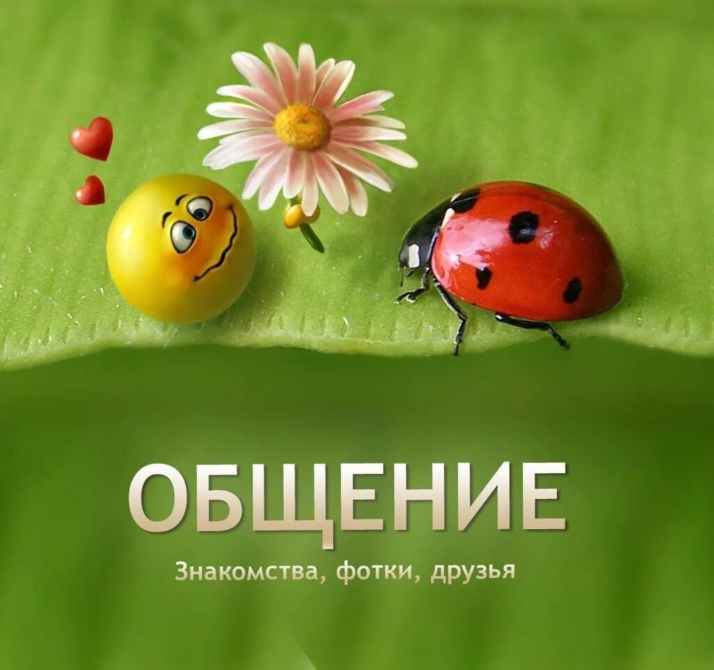 Давайте познакомимся. Анекдот про кладоискателей. Девушка можно с вами познакомиться прикол. Приезжайте там и познакомимся. Приезжайте там и познакомимся.