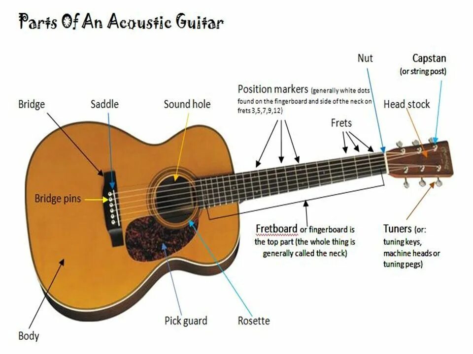 Гитара акустическая названия. Строение акустической гитары схема. Детали акустической гитары. Строение гитары акустической. Название частей гитары.