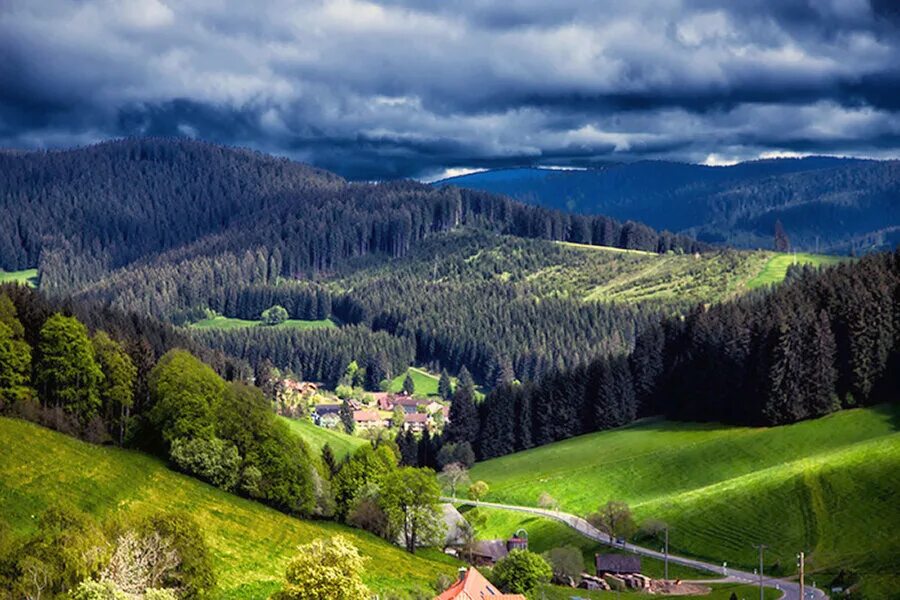 В европе есть леса. В европе есть леса. Шварцвальд лес. В европе есть леса. В европе есть леса.