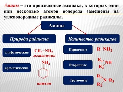 Классы азотсодержащих органических соединений