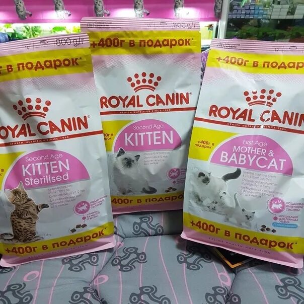 Корм для котят royal canin babycat. Royal canin babycat гранулы. Royal canin babycat 400+400. Роял канин 400 400. Royal canin babycat 400+400.