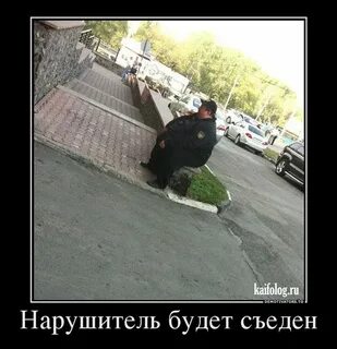 Приколы про охрану