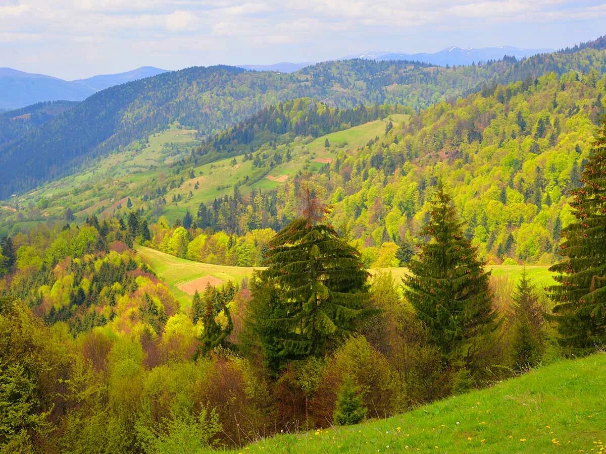 Западные карпаты. Карпаты украина. Западная украина карпаты. Западные карпаты. Венгерские карпаты.