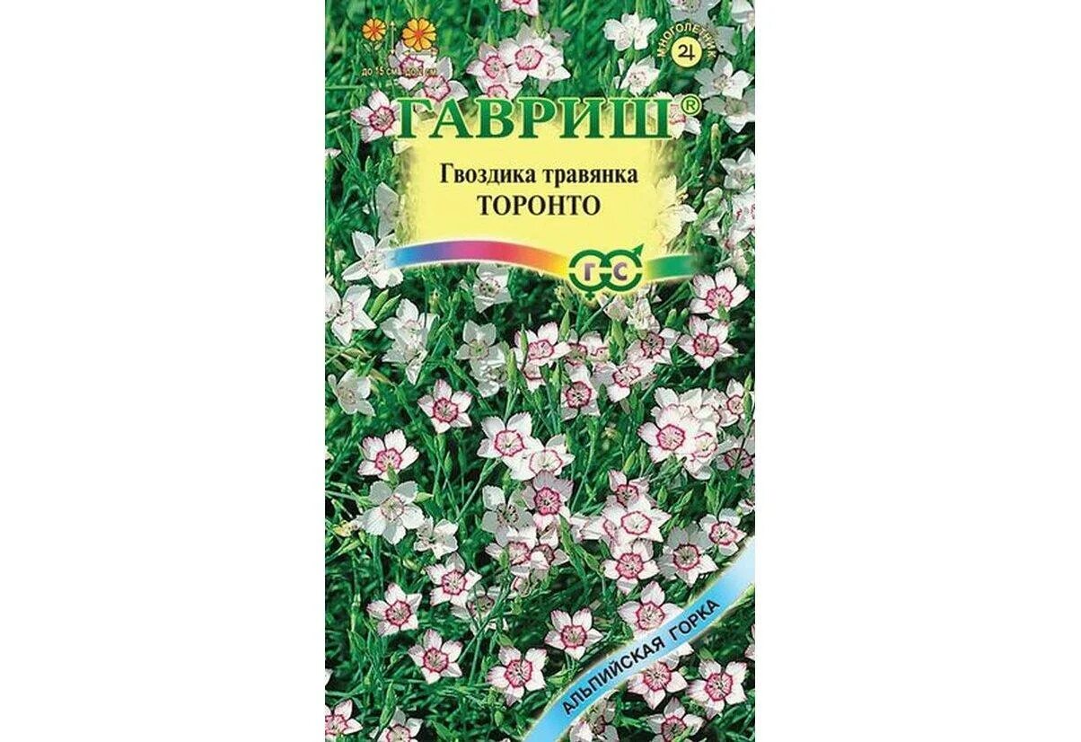 гвоздика торонто травянка