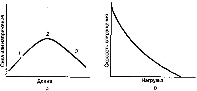 зависимость длины от температуры. график зависимости длины волны от температуры. зависимость средней длины свободного пробега от температуры. график продолжительности горения свечи от объема. зависимость длины от температуры.
