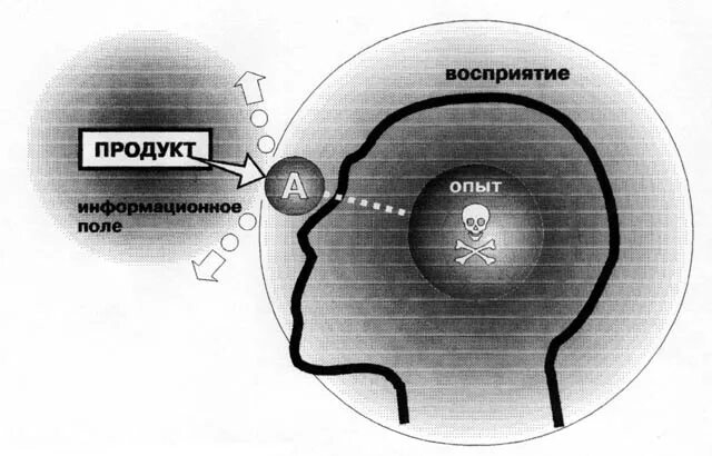 Процесс восприятия. Процесс восприятия рекламы. Фазы процесса восприятия. Фазы восприятия в психологии. Восприятие москвы