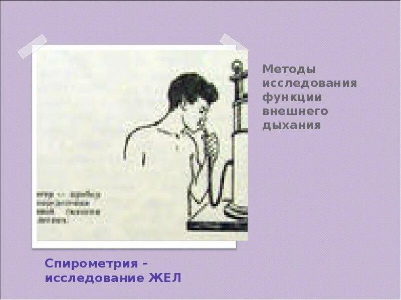 Методы исследования внешнего дыхания. Методы исследования фвд. методика исследования внешнего дыхания. методы исследования внешнего дыхания физиология.