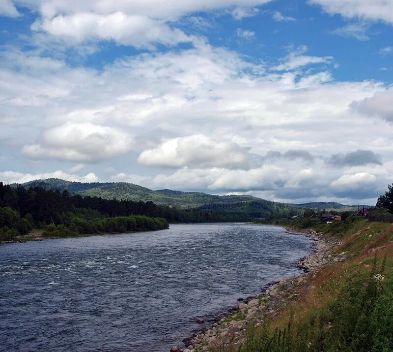 Вода в реке бия. Река Юрток Алтай. Река бий. Кузенский порог, река Бия. Республика Алтай. Бия река уровень.