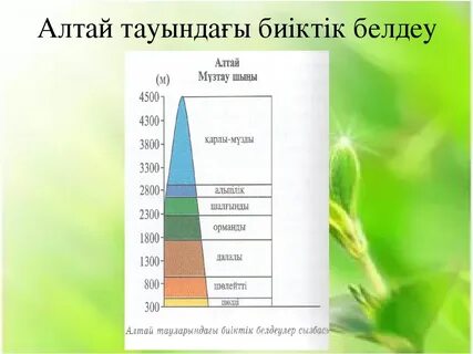 Табиғат зоналары мен биіктік белдеулер