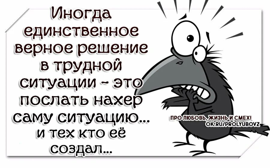 Хочется снять рубаху и послать всех. Иногда единственное верное решение в трудной ситуации. Цитаты послать всех. Иногда хочется послать всех. Цитаты послать.