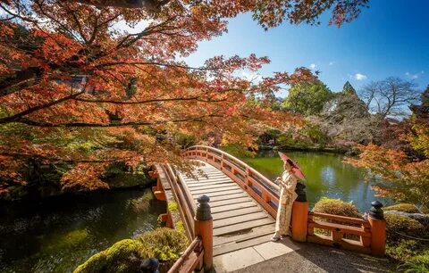 Fall bridge