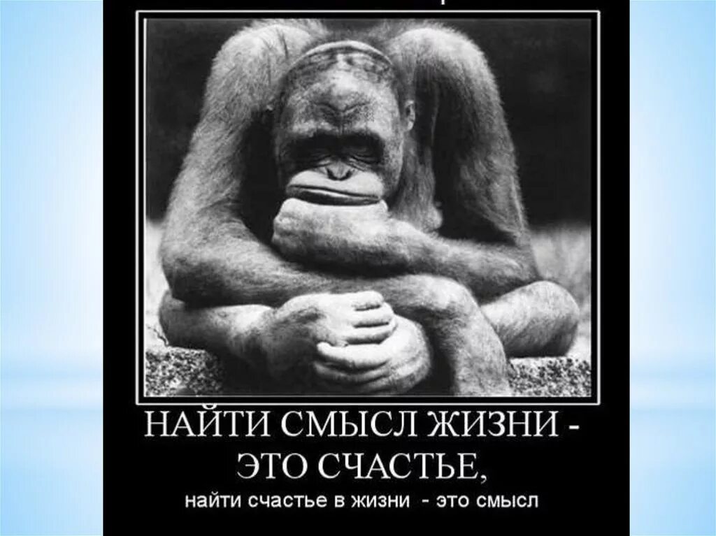 Смысл жизни это