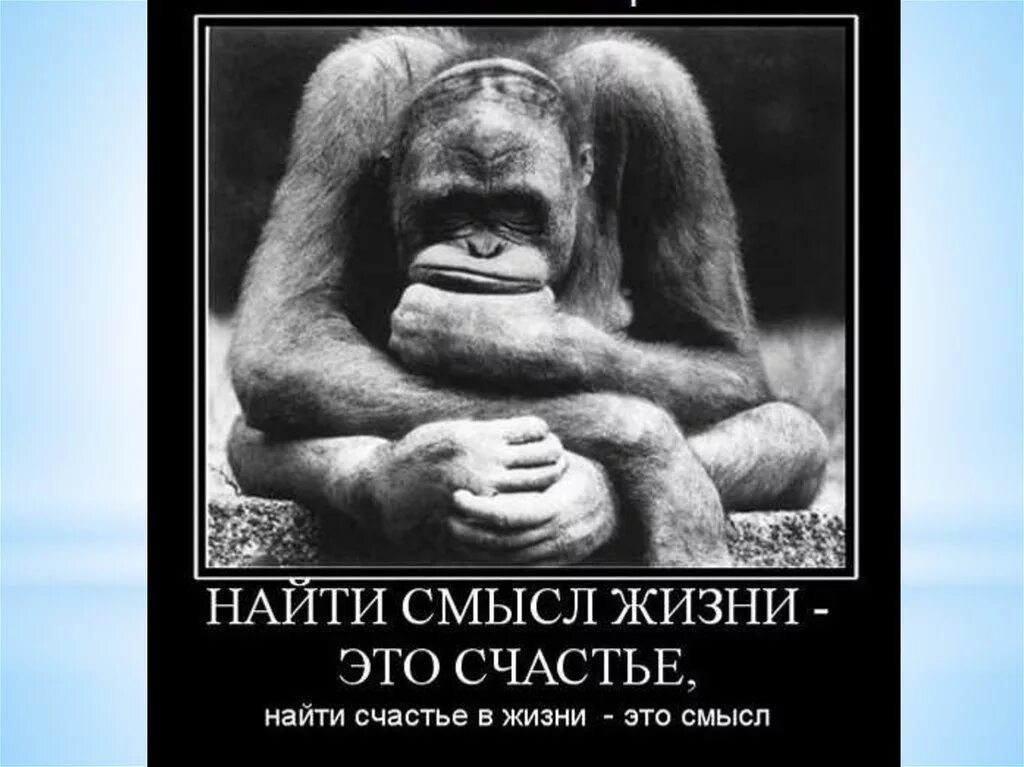 Помог найти смысл жизни. О смысле жизни. Смешные размышления. Обрести смысл жизни. Смешные философские картинки.