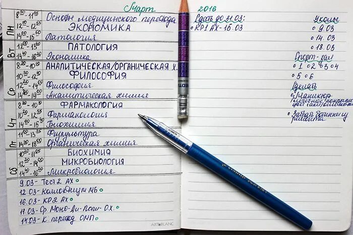 Моно какая запись