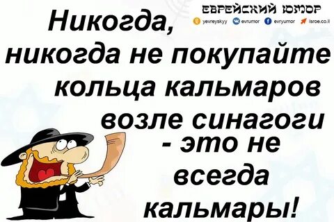 Кальмары у синагоги