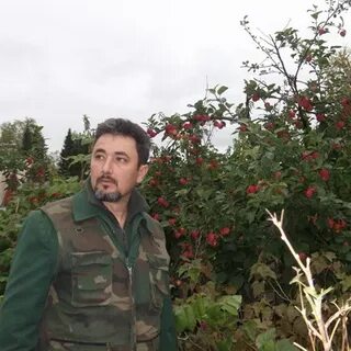 Сауров