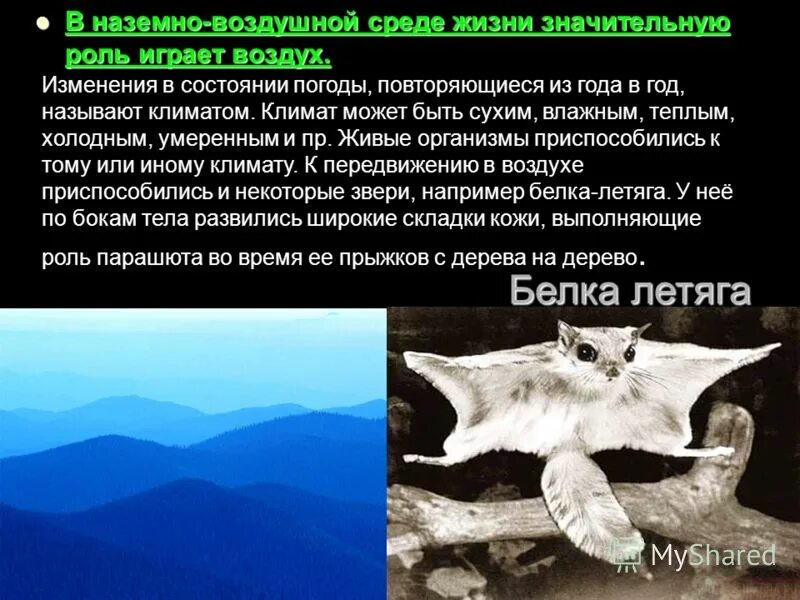 Представители наземно-воздушной среды обитания. Наземновохдушная среда обитния. Влияние наземно воздушной среды на животных. Наземновозлушная среда. Влияние наземно воздушной среды на животных.