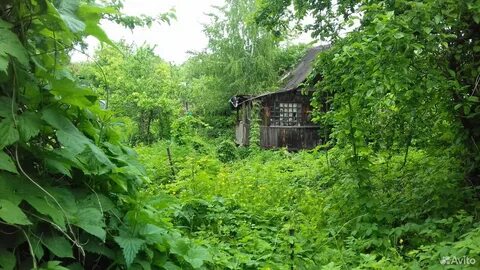 Авито самара дача