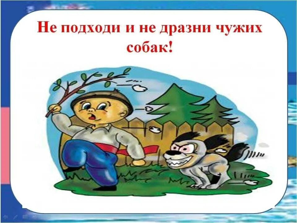 Безопасность животных