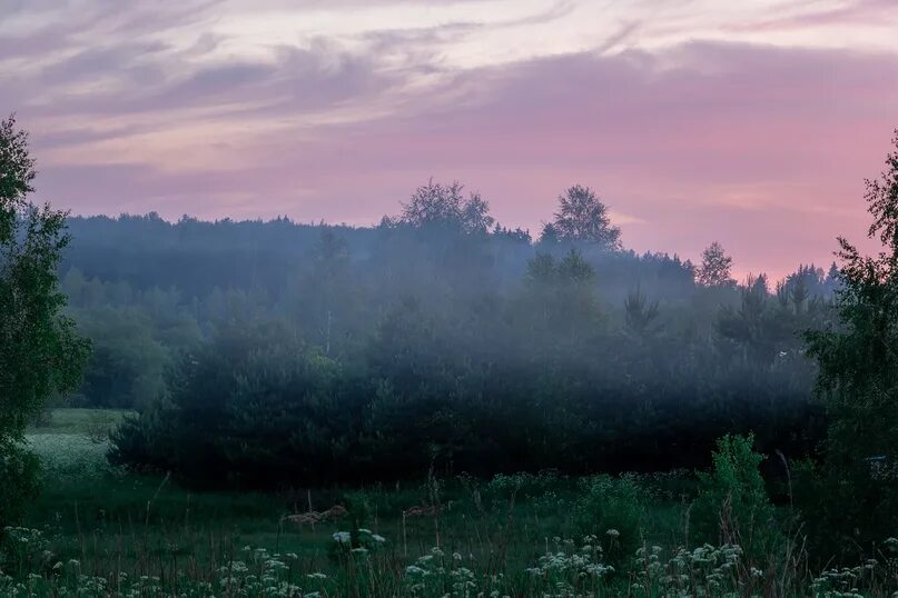 Лес туман лето. Рассвет над лесом. Туманный пейзаж. Природа рассвет. Природа вечер.