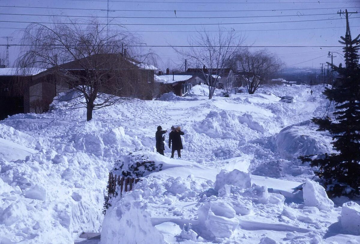 Какой сильный будет снег. Снегопад в Канаде в 1971 году. Много снега. Снегопад в городе. Много снега в городе.