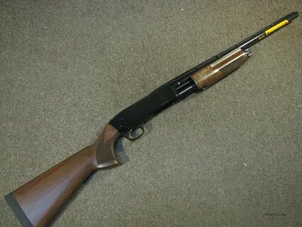 Ружье 10
