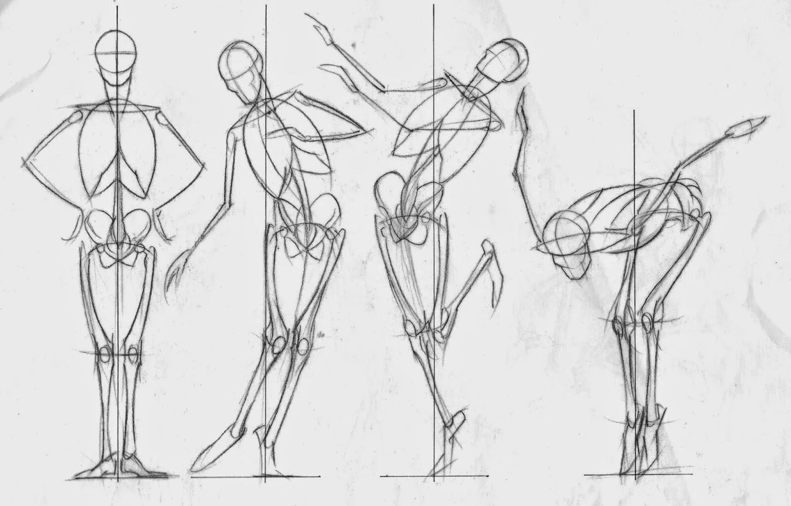 Фигура человека анатомия. Референс анатомия пропорции. Зарисовки человеческой фигуры. Каркас тела для рисования. Фигура человека рисунок.