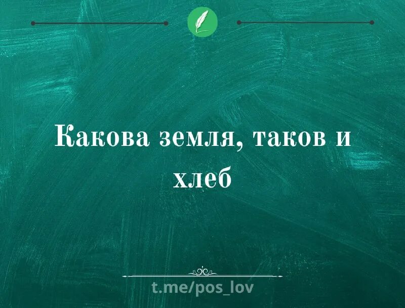 какова земля таков. пословица какова земля, таков и хлеб. какова земля таков. каков разум таковы и речи значение пословицы. каков разум — таковы и речи.