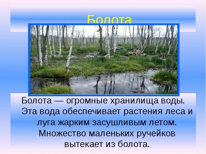 Болото составить слова. Презентация на тему болота. Доклад про болото. Презентация на тему болото. Болота доклад.