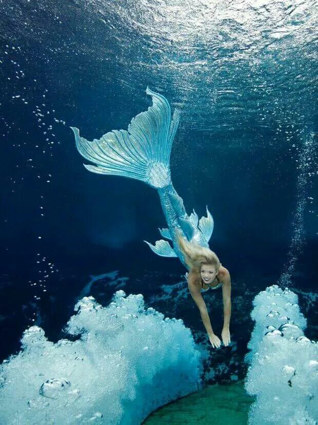 Pin on ≈ Mermaids ≈ Mermaid photography, Mermaid pictures, Mermaid art