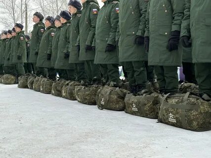 Могут ли срочника отправить на войну 2024