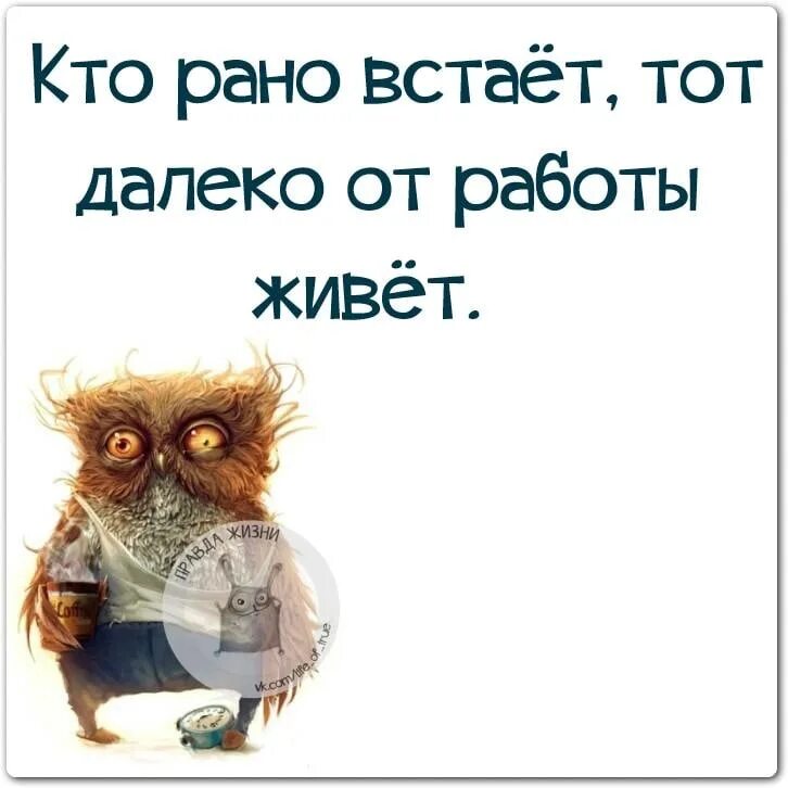 Что сказать то работаем дальше. Смешные открытки про работу. Юмор про работу. Статусы про работу прикольные. Смешные статусы про работу.