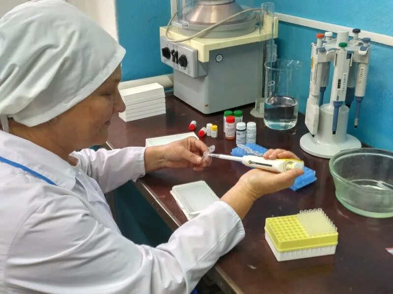 Ветеринарная лаборатория сайт. Ветеринарная лаборатория сайт. Ветеринарно-санитарная экспертиза. Лаборатория всэ. Ветеринар в лаборатории.