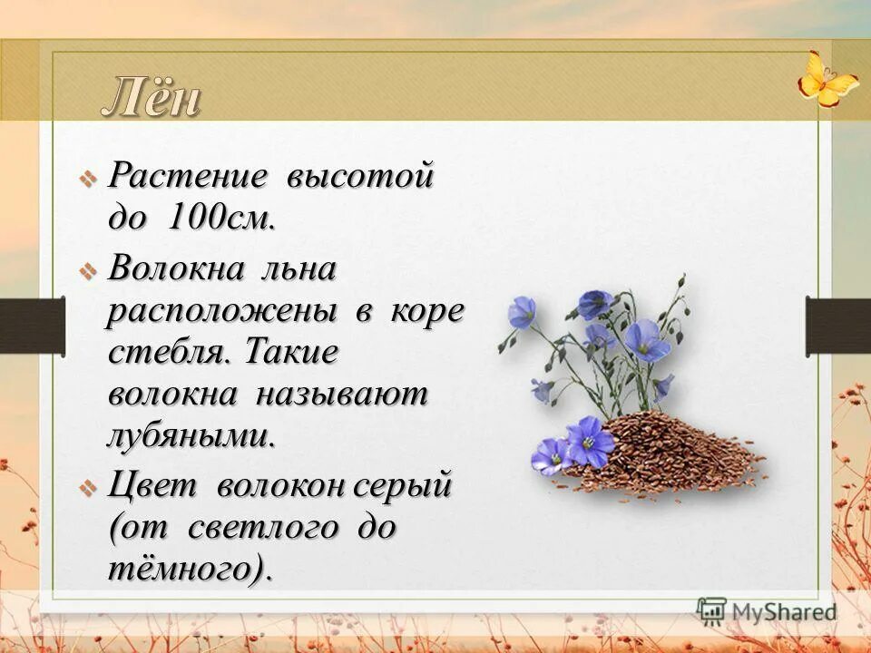 исток реки лена на карте. где расположен лен. лен долгунец условия произрастания. лён растение описание. лен долгунец и лен кудряш отличия.