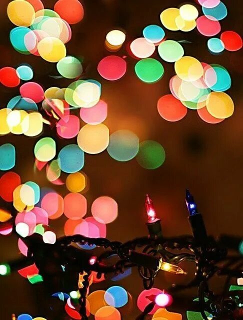 Twinkle twinkle christmas lights. Twinkling lights. Фото боке с гирляндами. Jd mcpherson - north side gal !. Lighting banner.